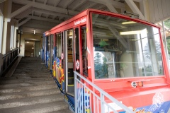 C87A5354
