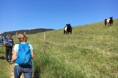IMG-20180525-WA0009