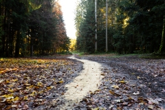 07112021-IMG_8635